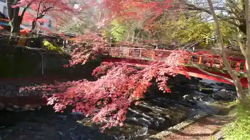 修禅寺(静岡県)