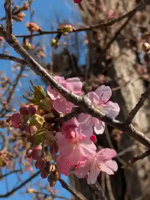 叶神社 (西叶神社)(神奈川県)