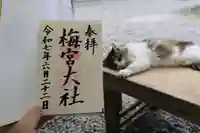 梅宮大社の御朱印