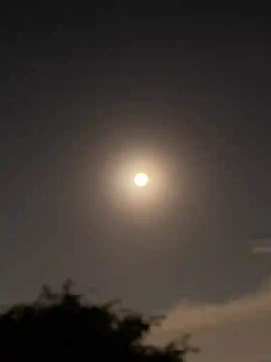 相模原氷川神社の自然