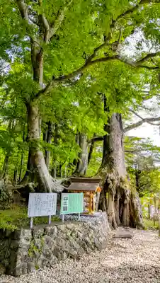 富士山東口本宮 冨士浅間神社の{uncategorized: "未分類", other: "その他", undefined: "問題あり", building: "その他建物", grave: "お墓", sacred_gate: "鳥居", guardian: "狛犬", statue: "像", buddha: "仏像", history: "歴史", nature: "自然", garden: "庭園", animal: "動物", pagoda: "塔", temizu: "手水舎", mountain_gate: "山門・神門", sanctuary: "本殿・本堂", subordinate: "末社・摂社", art: "芸術", scenery: "景色", jizo: "地蔵", ema: "絵馬", goshuin: "御朱印", omikuji: "おみくじ", items: "授与品その他", amulet: "お守り", goshuincho: "御朱印帳", eats: "食事", festival: "お祭り", votive_dance: "神楽", shichigosan: "七五三参", wedding: "結婚式", experience: "体験その他", initially: "初詣", around: "周辺", anti_infection: "感染症対策"}