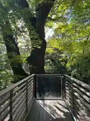 來宮神社(静岡県)