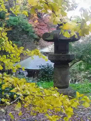安國論寺（安国論寺）の自然