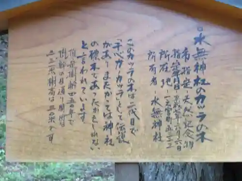 飛驒一宮水無神社の歴史