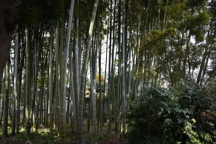 常楽寺(神奈川県)