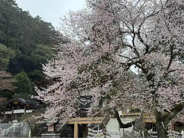 高麗神社(埼玉県)