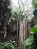 SACO