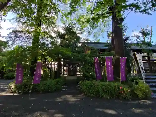 阿佐ヶ谷神明宮(東京都)