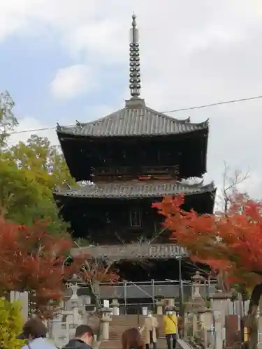 くろ谷 金戒光明寺(京都府)