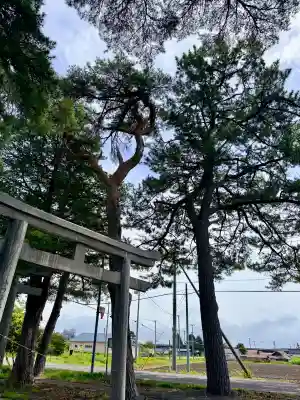 三好八幡神社(北海道)