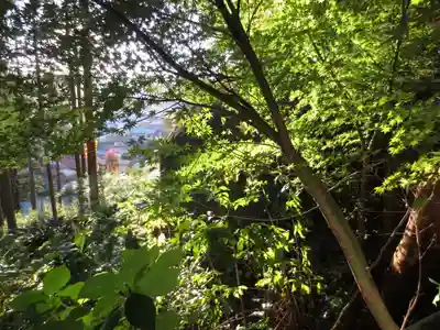 都々古別神社(八槻)の自然