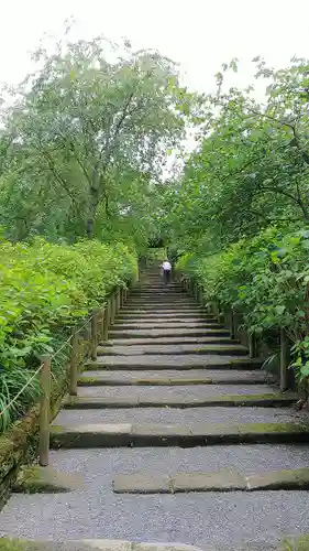 明月院の庭園