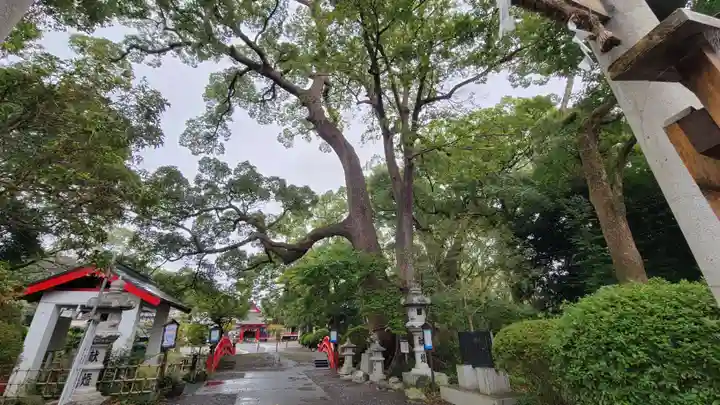 米之宮浅間神社の自然
