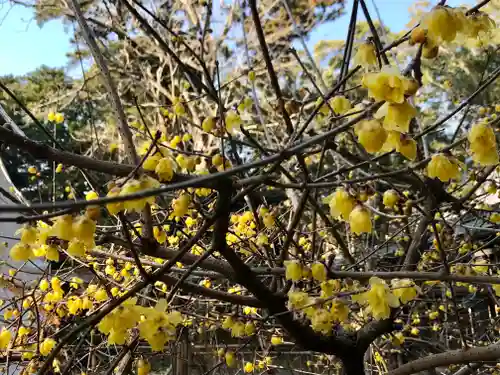 小御門神社(千葉県)
