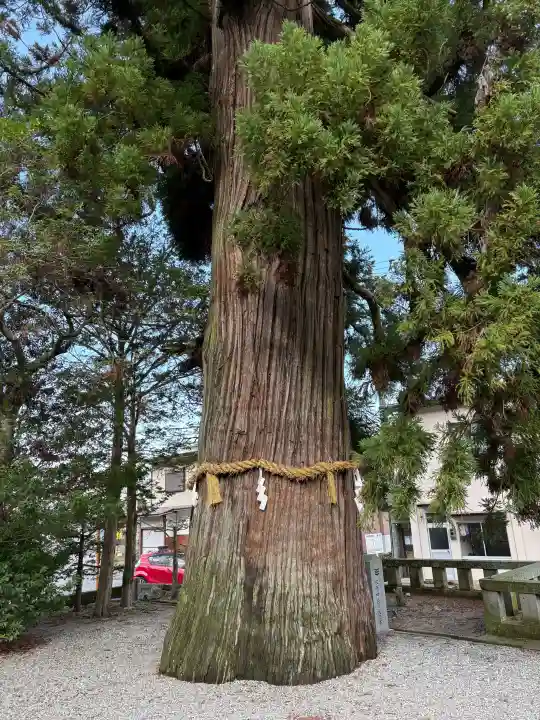 飛驒一宮水無神社の{uncategorized: "未分類", other: "その他", undefined: "問題あり", building: "その他建物", grave: "お墓", sacred_gate: "鳥居", guardian: "狛犬", statue: "像", buddha: "仏像", history: "歴史", nature: "自然", garden: "庭園", animal: "動物", pagoda: "塔", temizu: "手水舎", mountain_gate: "山門・神門", sanctuary: "本殿・本堂", subordinate: "末社・摂社", art: "芸術", scenery: "景色", jizo: "地蔵", ema: "絵馬", goshuin: "御朱印", omikuji: "おみくじ", items: "授与品その他", amulet: "お守り", goshuincho: "御朱印帳", eats: "食事", festival: "お祭り", votive_dance: "神楽", shichigosan: "七五三参", wedding: "結婚式", experience: "体験その他", initially: "初詣", around: "周辺", anti_infection: "感染症対策"}