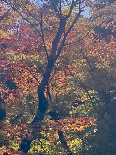 即宗院(京都府)