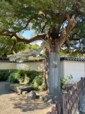 英勝寺(神奈川県)