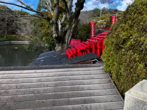 八股榎お袖大明神の鳥居