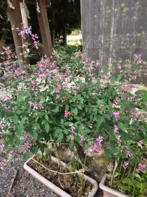 高司神社〜むすびの神の鎮まる社〜(福島県)