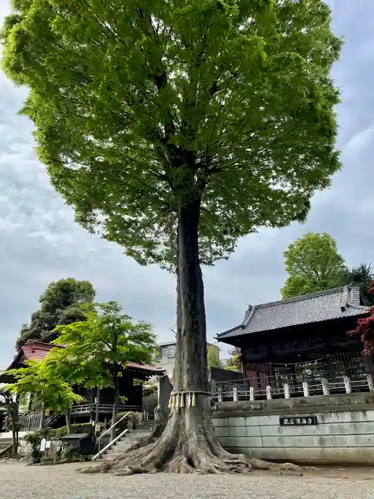 瀧宮神社(埼玉県)