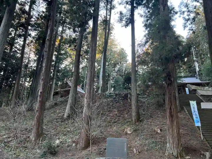 大宮温泉神社(栃木県)