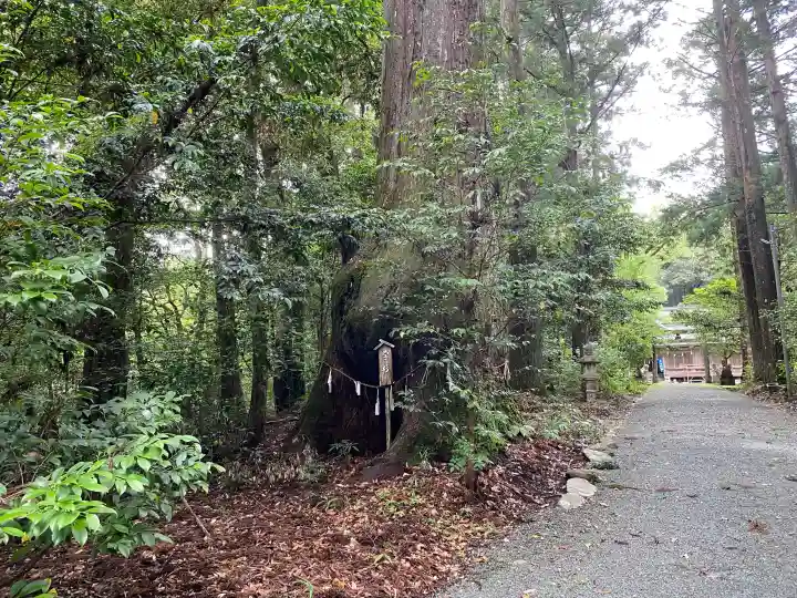 若一王子宮(高知県)