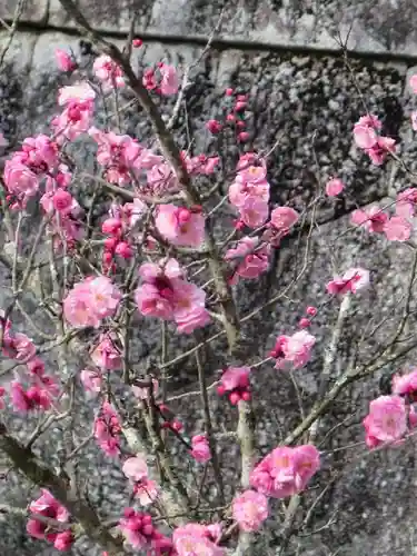 香椎宮の自然