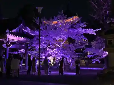 知恩院(京都府)