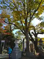 成田山新勝寺の自然