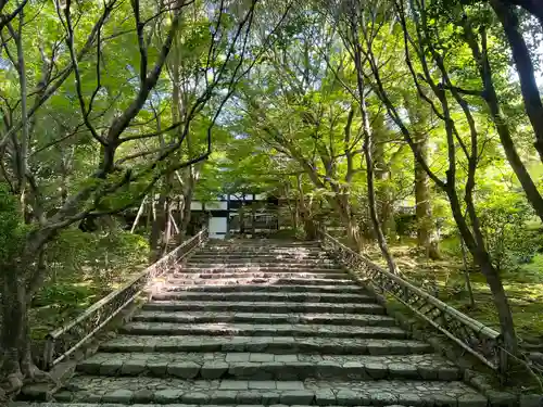 龍安寺(京都府)