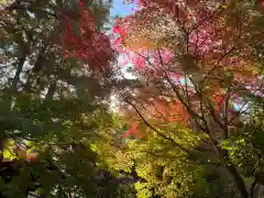 霊雲院(京都府)