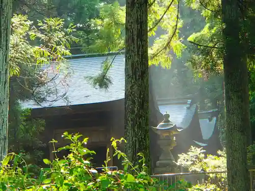 上野八幡神社の本殿