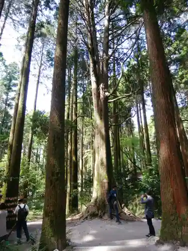 霧島神宮(鹿児島県)