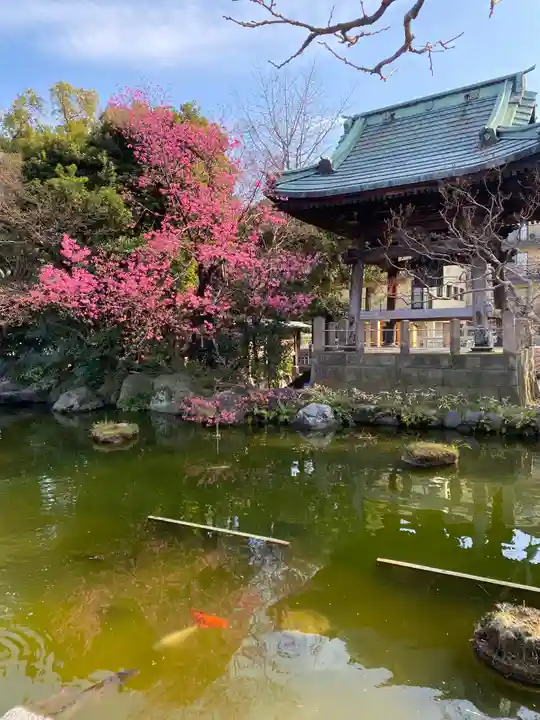 西新井大師総持寺の庭園