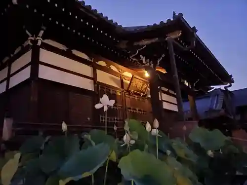 善導寺(福島県)