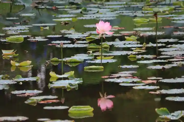 三光稲荷神社の周辺