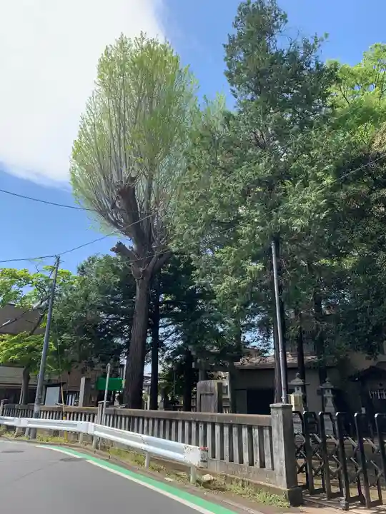 秋津神社のその他建物