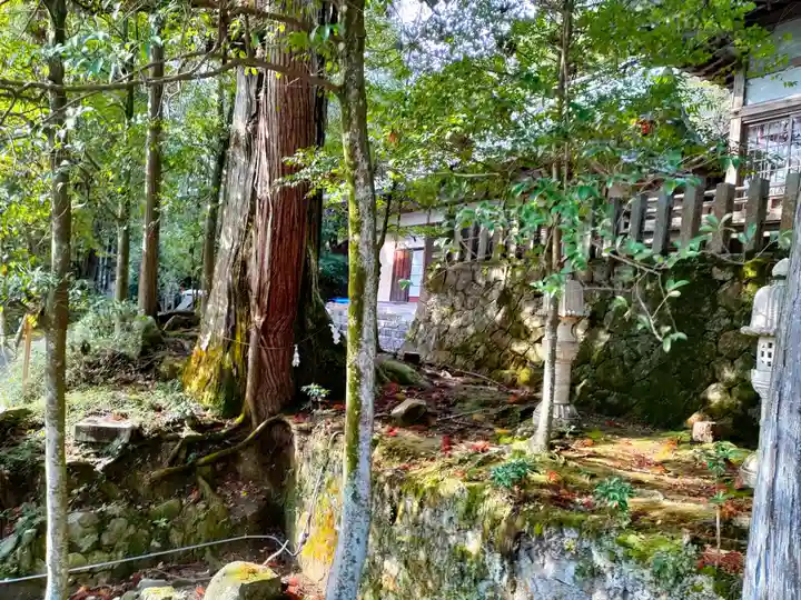 敢國神社のその他建物