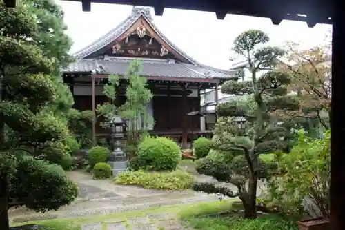 蓮光寺の本殿