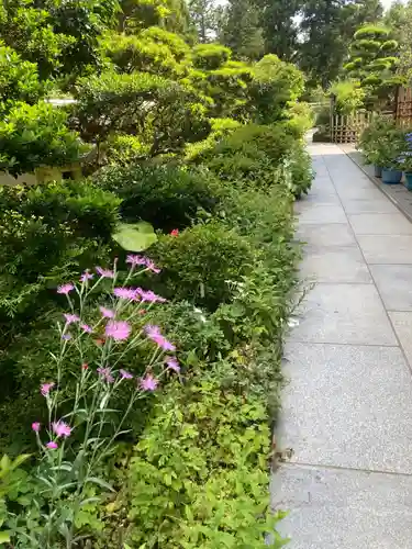 松嶺院(神奈川県)
