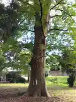 春日神社(福井県)