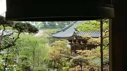 最乗寺（道了尊）の景色