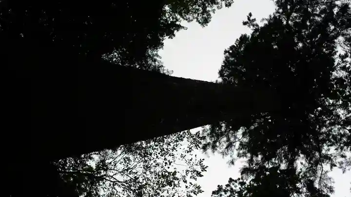 室生寺(奈良県)