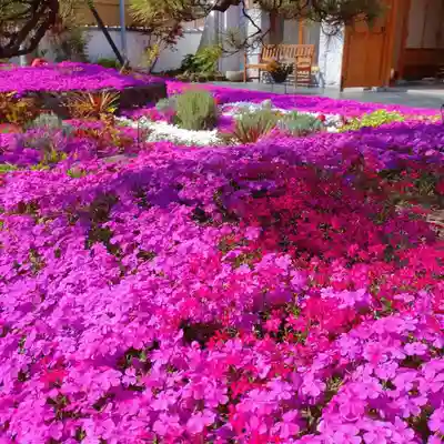 寿量山 速成寺(奈良県)