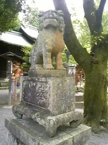 報徳二宮神社の狛犬