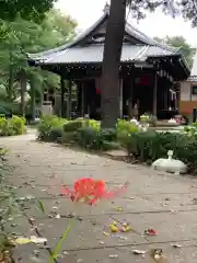 総持寺の本殿