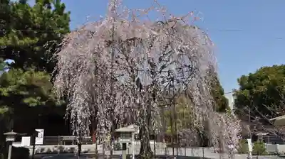 大報恩寺（千本釈迦堂）のその他建物