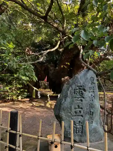 浜松八幡宮の{uncategorized: "未分類", other: "その他", undefined: "問題あり", building: "その他建物", grave: "お墓", sacred_gate: "鳥居", guardian: "狛犬", statue: "像", buddha: "仏像", history: "歴史", nature: "自然", garden: "庭園", animal: "動物", pagoda: "塔", temizu: "手水舎", mountain_gate: "山門・神門", sanctuary: "本殿・本堂", subordinate: "末社・摂社", art: "芸術", scenery: "景色", jizo: "地蔵", ema: "絵馬", goshuin: "御朱印", omikuji: "おみくじ", items: "授与品その他", amulet: "お守り", goshuincho: "御朱印帳", eats: "食事", festival: "お祭り", votive_dance: "神楽", shichigosan: "七五三参", wedding: "結婚式", experience: "体験その他", initially: "初詣", around: "周辺", anti_infection: "感染症対策"}