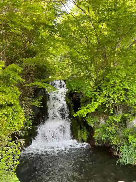 富士山東口本宮 冨士浅間神社の自然