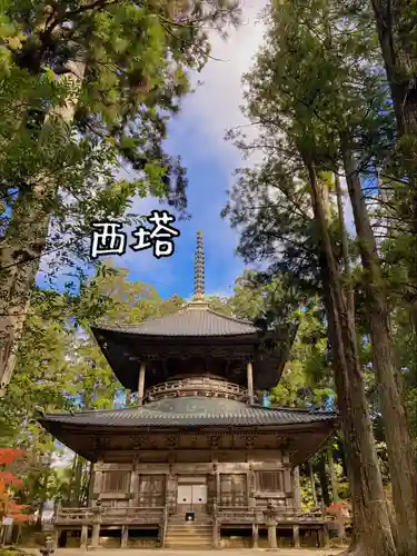 高野山金剛峯寺(和歌山県)